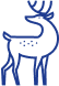 עמוד הבית 5 עמוד הבית